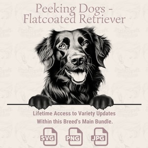 Spähende Hunde Flatplated Retriever - | SVG | PNG | JPG |  Transparent + Weißer Hintergrund - Planer, Einladungen, Aufkleber, Print on Demand