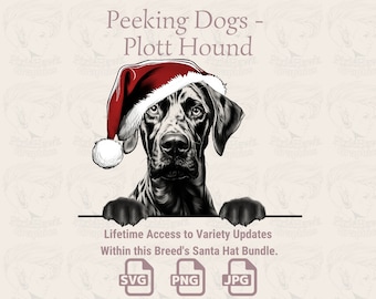 May include: A black and white illustration of a Plott Hound dog wearing a red Santa hat. The dog is peeking over a white surface. The text "Peeking Dogs - Plott Hound" is at the top of the image. The text "Lifetime Access to Variety Updates Within this Breed's Santa Hat Bundle." is below the dog. The text "SVG PNG JPG" is at the bottom of the image.