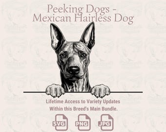Mexican Hairless Dog Line Art: Xoloitzcuintli Peeking Design (SVG, PNG, JPG)