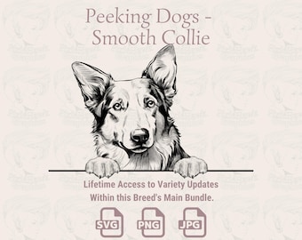Smooth Collie Line Art: Peeking Dog SVG PNG JPG (Digital Download)