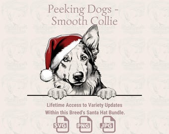 Smooth Collie Santa Hat - Peeking Dog (SVG, PNG, JPG)