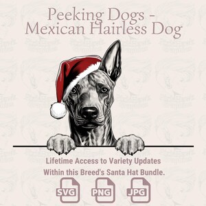 Spähende Hunde Mexikanischer haarloser Hund Nikolausmütze - | SVG | PNG | JPG |  Viele Variationen - Planer, Einladungen, Aufkleber, Print on Demand
