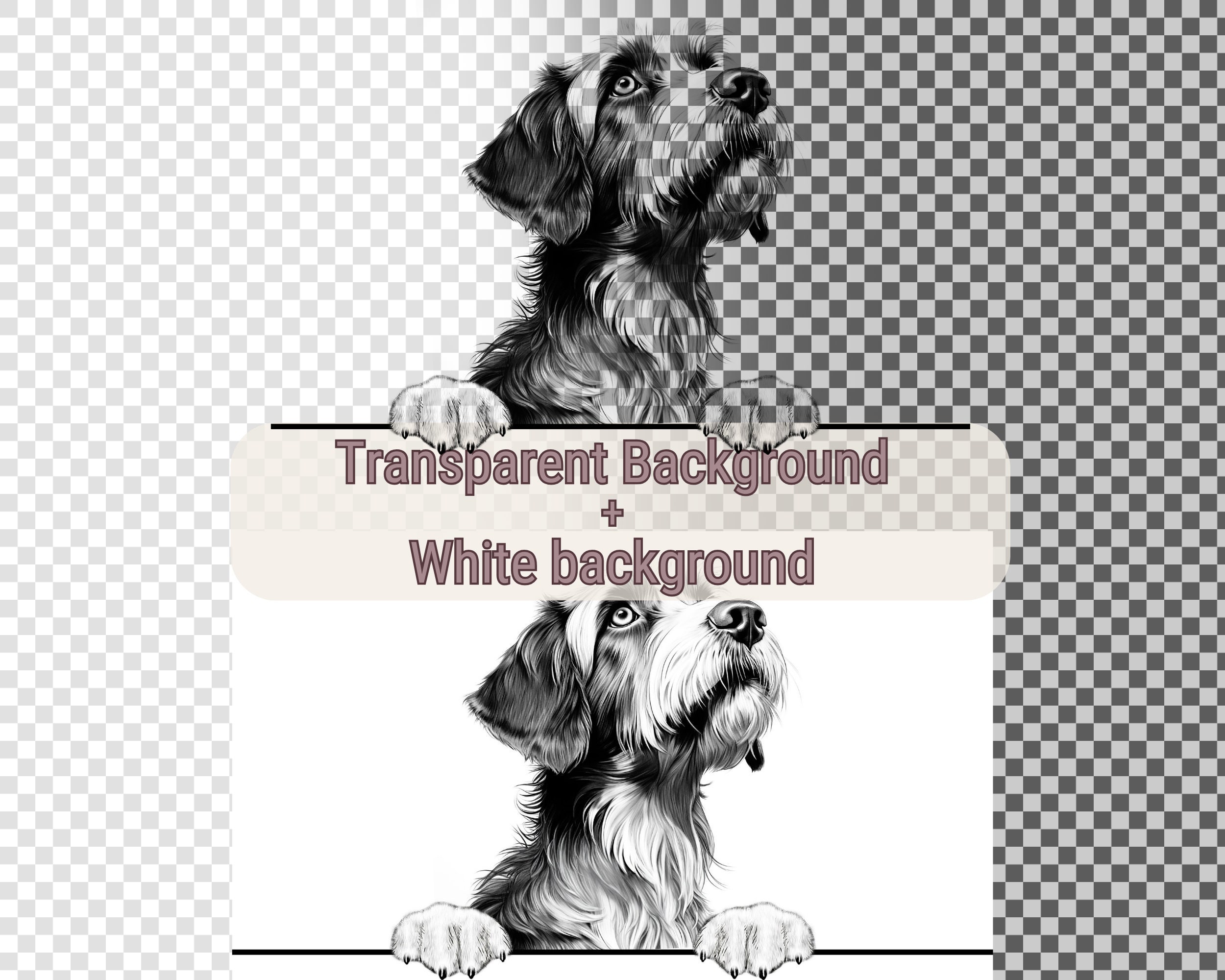 Peeking Dogs Pudelpointer SVG PNG JPG Transparent - Etsy