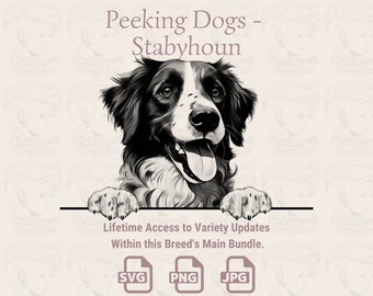 Stabyhoun Dog Line Art: Peeking Puppy SVG PNG JPG