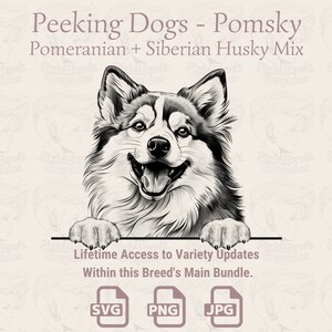 Pomsky Dog Line Art: SVG, PNG, JPG (Digital Download)