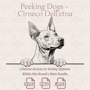 Chiens furtifs Cirneco dell'etna - | SVG | PNG | JPG |  Transparent + fond blanc - agenda, faire-part, autocollants, impression à la demande
