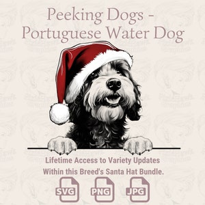 Espreitando cães Cão de água português Santa Hat - | SVG | PNG | JPG | Muitas variações – Planner, convites, adesivos, impressão sob demanda