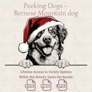 Spähende Hunde Berner Sennenhund Weihnachtsmütze - | SVG | PNG | JPG | Viele Variationen - Planer, Einladungen, Sticker, Print on Demand