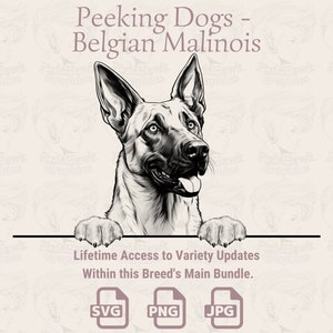 Glurende honden Belgische Mechelaar - | SVG | PNG | JPG |  Transparante + witte achtergrond - planner, uitnodigingen, stickers, print on demand