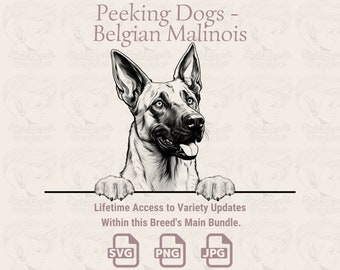 Può includere: Illustrazione digitale in bianco e nero di un cane pastore belga malinois che sporge da una superficie. Il cane guarda a destra con la lingua di fuori. Il testo "Peeking Dogs - Belgian Malinois" è in cima all'immagine. Il testo "Lifetime Access to Variety Updates Within this Breed's Main Bundle." è sotto il cane. Il testo "SVG PNG JPG" è sotto il testo.