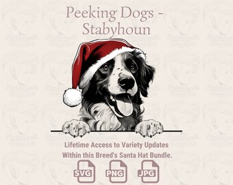 Stabyhoun Santa Hat Peeking Dog - Print on Demand (SVG, PNG, JPG)