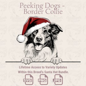 Spähende Hunde Border Collie Nikolausmütze - | SVG | PNG | JPG | Viele Variationen - Planer, Einladungen, Sticker, Print on Demand