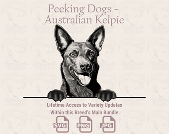 Australian Kelpie Line Art: Peeking Dog SVG, PNG, JPG (Digital Download)