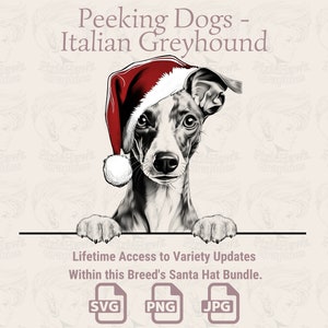 Peeking Dogs Chapeau de Père Noël pour lévrier italien - | SVG | PNG | JPG | De nombreuses variantes - Planificateur, invitations, autocollants, impression à la demande