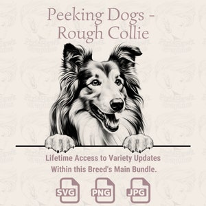 Peeking Dogs Rough Collie - / SVG / PNG / JPG / Trasparente + Sfondo Bianco - Planner, Adesivi, Stampa su Richiesta