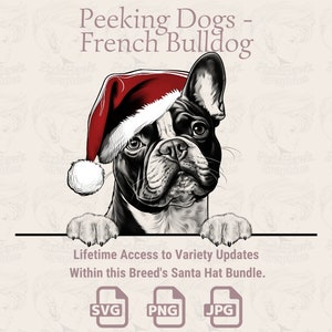 Spähende Hunde Französische Bulldogge Weihnachtsmütze - | SVG | PNG | JPG | Viele Variationen - Planer, Einladungen, Sticker, Print on Demand