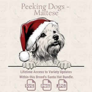 Peeking Dogs Maltese Santa Hat - / SVG / PNG / JPG / Molte varianti - Pianificatore, Inviti, Adesivi, Stampa su richiesta