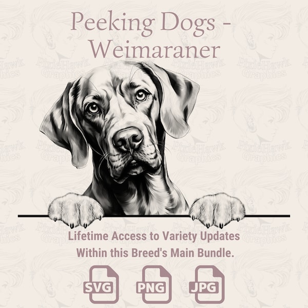 Peeking Dogs Weimaraner -  | SVG | PNG | JPG |  Transparent + White Background - Planner, Invitations, Stickers, Print on Demand