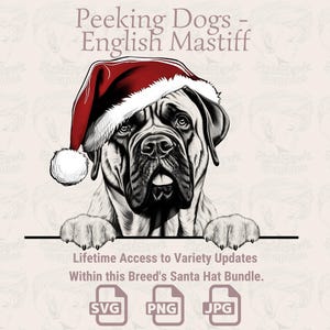 Bonnet de Noel Peeking Dogs Mastiff anglais - | SVG | PNG | JPG |  Nombreuses variantes : agenda, faire-part, autocollants, impression à la demande