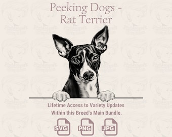Peeking Rat Terrier Line Art: SVG, PNG, JPG (Digital Download)