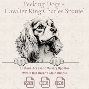 Cães Espiando Cavalier King Charles Spaniel - | SVG | PNG | JPG | Transparente + Fundo Branco - Agenda, Adesivos, Impressão sob Demanda