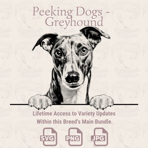 Peeking Dogs Greyhound - / SVG / PNG / JPG / Trasparente + Sfondo Bianco - Planner, Inviti, Adesivi, Stampa su Richiesta
