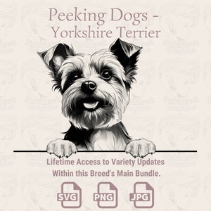 Spannende Hunde Yorkshire Terrier - | SVG | PNG | JPG |  Transparent + Weißer Hintergrund - Planer, Einladungen, Aufkleber, Print on Demand