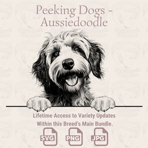 Hunde Aussiedoodles - spähen | SVG | PNG | JPG |  Transparent + Weißer Hintergrund - Planer, Einladungen, Aufkleber, Print on Demand
