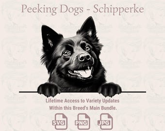 Schipperke Line Art: Peeking Dog SVG, PNG, JPG (Digital Download)