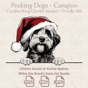 Peeking Dogs Chapeau de Père Noël Cavapoo - | SVG | PNG | JPG | De nombreuses variantes - Planificateur, invitations, autocollants, impression à la demande