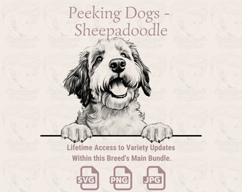 Sheepadoodle Peeking Dog Line Art (SVG, PNG, JPG)