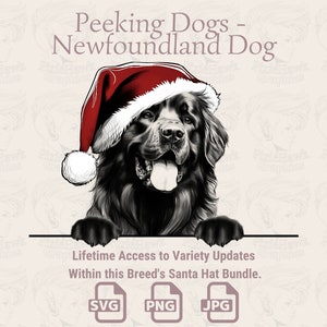 Peeking Dogs Terranova Cane Cappello da Babbo Natale - / SVG / PNG / JPG / Molte varianti - Pianificatore, Inviti, Adesivi, Stampa su richiesta