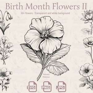Flores del mes de nacimiento - 56 variaciones de flores / SVG / PNG / JPG / Fondo transparente - Planificador, Invitaciones, Pegatinas, Impresión bajo demanda