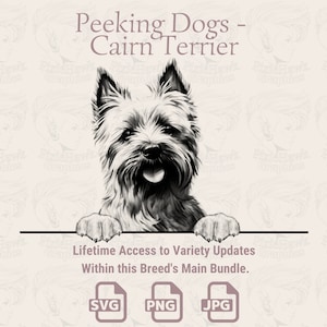 Spähende Hunde Cairn Terrier - | SVG | PNG | JPG |  Transparent + Weißer Hintergrund - Planer, Einladungen, Aufkleber, Print on Demand