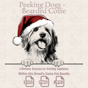 Spähende Hunde Bearded Collie Weihnachtsmütze - | SVG | PNG | JPG | Viele Variationen - Planer, Einladungen, Sticker, Print on Demand