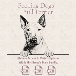 Cachorros espiando Bull Terrier - | SVG | PNG | JPG | Transparente + Fundo Branco - Agenda, Convites, Adesivos, Impressão sob demanda