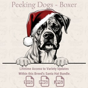 Spähende Hunde Boxer Weihnachtsmütze - | SVG | PNG | JPG | Viele Variationen - Planer, Einladungen, Sticker, Print on Demand