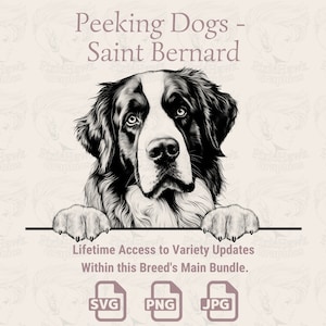 Glurende honden Sint-Bernardus - | SVG | PNG | JPG |  Transparante + witte achtergrond - planner, uitnodigingen, stickers, print on demand