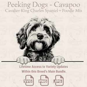 Peeking Dogs Cavapoo - | SVG | PNG | JPG | Przezroczyste + Białe Tło - Planer, Zaproszenia, Naklejki, Druk na Żądanie