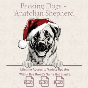 Peeking Dogs Anatolian Shepherd Santa Hat - | SVG | PNG | JPG | De nombreuses variantes - planificateur, invitations, autocollants, impression à la demande