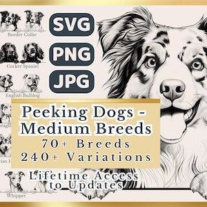 Spähende Hunderassen mittlerer Größe Bundle | SVG | PNG | JPG | 240+ Hunde Variationen, transparenter Hintergrund - Planer, Sticker, Print on Demand
