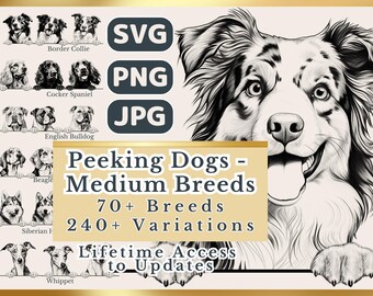 Peeking Dogs Medium Breeds Line Art Bundle (SVG, PNG, JPG)