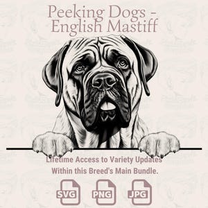 Peeking Dogs Mastiff anglais - | SVG | PNG | JPG |  Transparent + fond blanc - agenda, faire-part, autocollants, impression à la demande