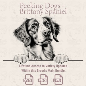 Peeking Dogs Brittany Spaniel - / SVG / PNG / JPG / , Trasparente + Sfondo Bianco - Planner, Inviti, Adesivi, Stampa su Richiesta