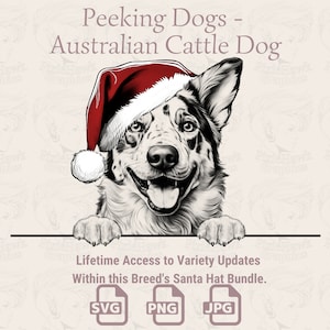 Peeking Dogs Australian Cattle Dog Santa Hat - | SVG | PNG | JPG | De nombreuses variantes - planificateur, invitations, autocollants, impression à la demande