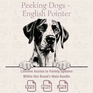 Chien d'arrêt anglais Peeking Dogs - | SVG | PNG | JPG |  Transparent + fond blanc - agenda, faire-part, autocollants, impression à la demande