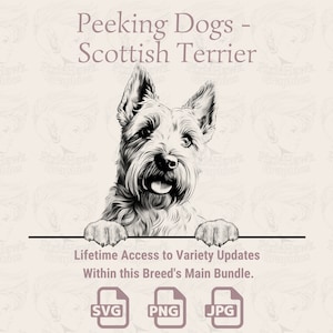 Peeking Dogs Scottish Terrier -  | SVG | PNG | JPG |  Transparent + White Background - Planner, Invitations, Stickers, Print on Demand