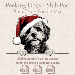Spähende Hunde Shih Poo Weihnachtsmütze - | SVG | PNG | JPG | Viele Variationen - Planer, Einladungen, Sticker, Print on Demand
