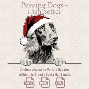 Spähende Hunde Irish Red Setter Weihnachtsmütze - | SVG | PNG | JPG | Viele Variationen - Planer, Einladungen, Sticker, Print on Demand