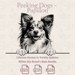 Peeking Dogs Papillon - | SVG | PNG | JPG |  Transparante + witte achtergrond - planner, stickers, print on demand